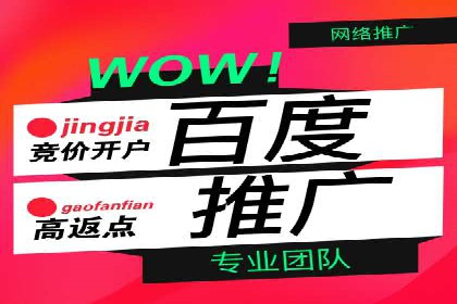 百度竞价推广代运营经典案例分析